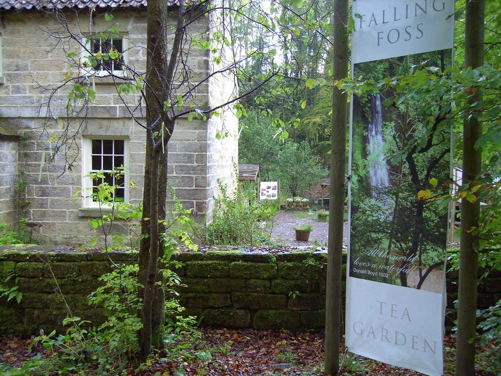 ธอร์ป กรีน เฮาส์ Bed & Breakfast โรบินฮูดส์เบย์ ภายนอก รูปภาพ