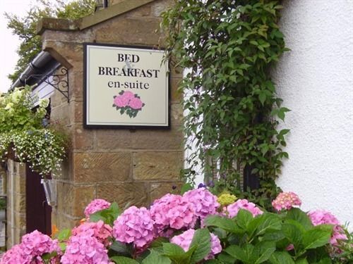 ธอร์ป กรีน เฮาส์ Bed & Breakfast โรบินฮูดส์เบย์ ภายนอก รูปภาพ
